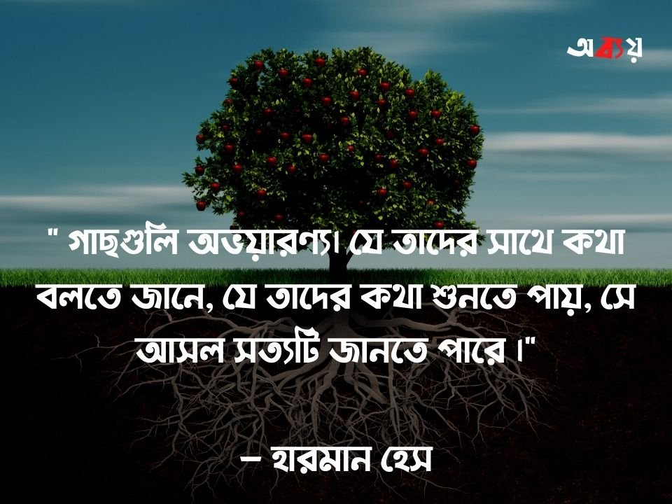 গাছ নিয়ে উক্তি - গাছ লাগানো নিয়ে ইসলামিক উক্তি সহ গাছ নিয়ে উক্তি