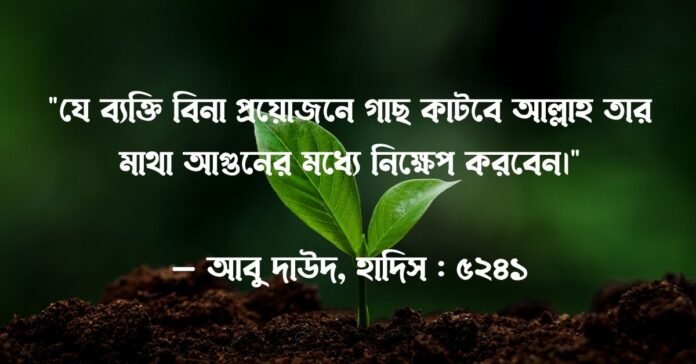 সবুজ গাছ নিয়ে উক্তি গাছ নিয়ে উক্তি