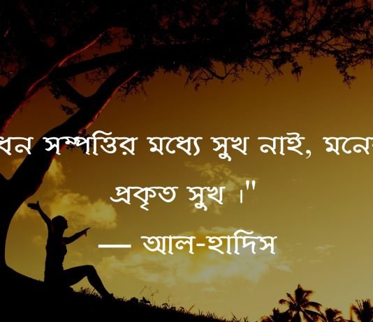 সুখ নিয়ে উক্তি