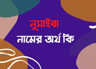 নুসাইবা নামের অর্থ কি – আরবি অর্থ জেনে নিন নুসাইবা নামের অর্থ কি - নুসাইবা নামের আরবি অর্থ কি