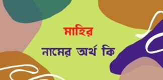 মাহির নামের অর্থ কি