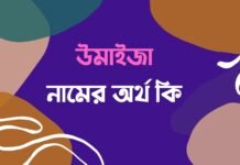 উমাইজা নামের অর্থ কি – ইসলামিক ও আরবি অর্থ জানুন উমাইজা নামের অর্থ কি