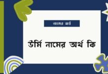 উর্মি নামের অর্থ কি – Urmi namer ortho ki উর্মি নামের অর্থ কি