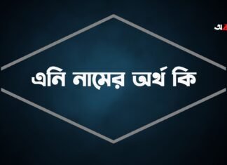 এনি নামের অর্থ কি