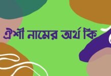 ঐশী নামের অর্থ কি