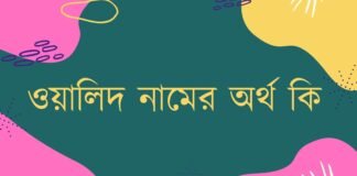 ওয়ালিদ নামের অর্থ কি