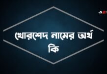 খোরশেদ নামের অর্থ কি – সাথে পূর্ণ নাম সাজেশন খোরশেদ নামের অর্থ কি