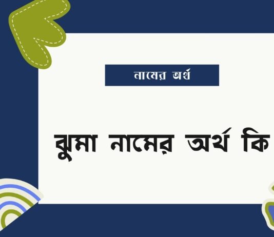 ঝুমা নামের অর্থ কি