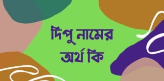 দিপু নামের অর্থ কি