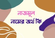 নাজমুল নামের অর্থ কি - nazmul namer ortho ki