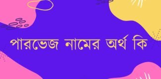 পারভেজ নামের অর্থ কি - parvez namer ortho ki