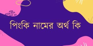 পিংকি নামের অর্থ কি