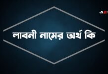 লাবনী নামের অর্থ কি