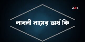 লাবনী নামের অর্থ কি