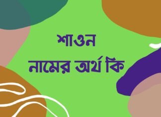 শাওন নামের অর্থ কি শাওন নামের অর্থ কি
