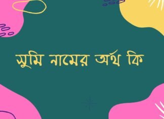 সুমি নামের অর্থ কি – ইসলামিক অর্থ কি সুমি নামের অর্থ কি