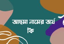 আছমা নামের অর্থ কি (এই নামে বিখ্যাত ব্যক্তি কে ছিলেন)