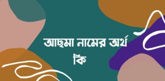 আছমা নামের অর্থ কি (এই নামে বিখ্যাত ব্যক্তি কে ছিলেন)