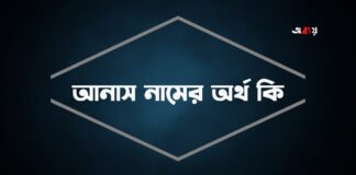 আনাস নামের অর্থ কি