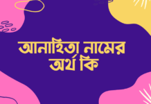 আনাহিতা নামের অর্থ কি – নামটির ইসলামিক অর্থ জানুন আনাহিতা নামের অর্থ কি - নামটির ইসলামিক অর্থ জানুন