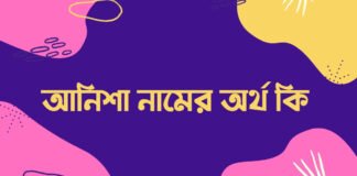 আনিশা নামের অর্থ কি - আনিশা নামের আরবি অর্থ কি