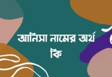 আনিসা নামের অর্থ কি - আনিসা নামের বাংলা অর্থ কি