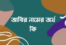 আবির নামের অর্থ কি – Abir namer ortho ki আবির নামের অর্থ কি - Abir namer ortho ki