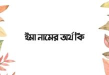 ইমা নামের অর্থ কি (বিশেষত আরবি ও ইসলামিক অর্থ)