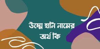 উম্মে হানি নামের অর্থ কি