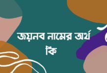 জয়নব নামের অর্থ কি (ঐতিহাসিক প্রেক্ষাপট সহ)