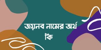জয়নব নামের অর্থ কি (ঐতিহাসিক প্রেক্ষাপট সহ)