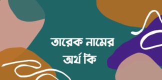 তারেক নামের অর্থ কি (ইসলামিক ও আরবি অর্থ জানুন)