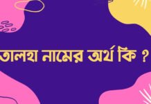 তালহা নামের অর্থ কি কে ছিলেন আবু তালহা