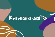 দিনা নামের অর্থ কি (অবশ্যই জানা জরুরী)