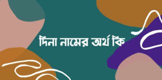 দিনা নামের অর্থ কি (অবশ্যই জানা জরুরী)
