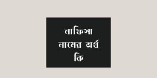 নাফিসা নামের অর্থ কি ইসলামিক ও আরবি অর্থ শুনে অবাক হবেন