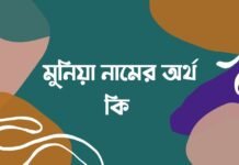 মুনিয়া নামের অর্থ কি – মুনিয়া নামের আরবি অর্থ কি মুনিয়া নামের অর্থ কি - মুনিয়া নামের আরবি অর্থ কি