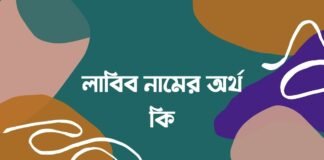 লাবিব নামের অর্থ কি - labib namer ortho ki