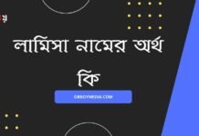 লামিসা নামের অর্থ কি