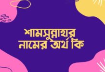 শামসুন্নাহার নামের অর্থ কি (এই নামে বিখ্যাত ব্যক্তি যিনি) শামসুন্নাহার নামের অর্থ কি (এই নামে বিখ্যাত ব্যক্তি যিনি)