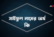 সাইফুল নামের অর্থ কি (সুবহান আল্লাহ) সাইফুল নামের অর্থ কি