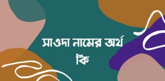 সাওদা নামের অর্থ কি - সাওদা নামের ইসলামিক অর্থ কি
