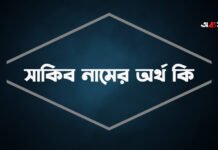 সাকিব নামের অর্থ কি – sakib namer ortho ki সাকিব নামের অর্থ কি - sakib namer ortho ki