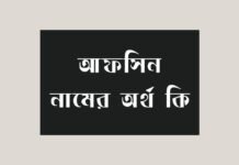 আফসিন নামের অর্থ কি - আরবি ও ইসলামিক অর্থ সহ