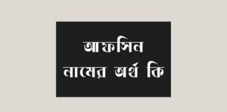 আফসিন নামের অর্থ কি - আরবি ও ইসলামিক অর্থ সহ