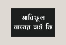 আরিফুল নামের অর্থ কি