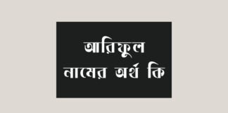 আরিফুল নামের অর্থ কি