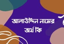 আলাউদ্দিন নামের অর্থ কি (আরবি ও ইসলামিক অর্থ সহ)