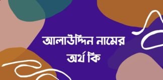 আলাউদ্দিন নামের অর্থ কি (আরবি ও ইসলামিক অর্থ সহ)