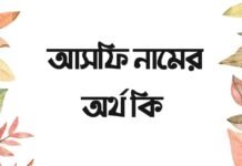 আসফি নামের অর্থ কি - ইসলামিক ও আরবি অর্থ জানুন